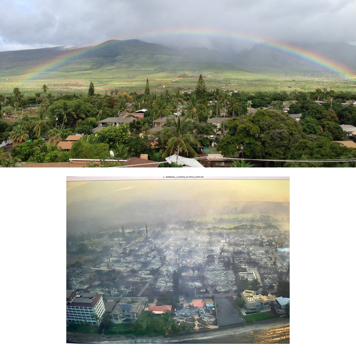 sharxfan's tweet image. Devastated to see the images coming in from Lahaina. Stayed at Lahaina Shores several times (it's the large white resort on the bottom left of the after photo.) The top image is a shot from a balcony at the resort looking towards the mountains. #lahainafire