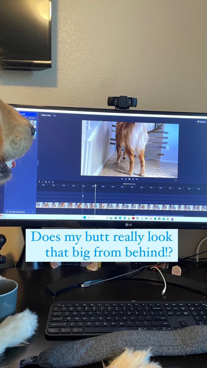 dougtdog1's tweet photo. When you see yourself from behind https://t.co/M76TzzF0Xq