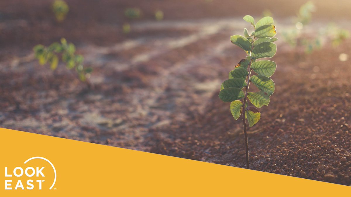 Seeking PR expertise in the food and agriculture industry? Look no further! Our team at Look East combines industry knowledge and strategic thinking to help your brand thrive. Connect with us to explore how we can help you build trust. >> lookeast.com/contact/