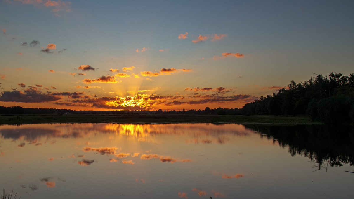 AnnySpoolder's tweet photo. En zo ging de zon onder in #Zuna #ZunscheHeide in #Wierden aan de #Sallandseheuvelrug. #volgdenatuur #mooieluchten #weerfoto @LandschapOV https://t.co/NxMbTkduP1