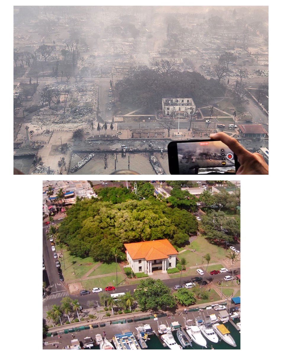 ChelsyFreedom's tweet image. For everyone asking about front street and The Banyon Tree / Old Lahaina Courthouse 

😭 

We can’t even fathom what we are seeing… 

#prayformaui #maui #lahaina #banyontree #lahainafire #frontstreet #hawaii #aina