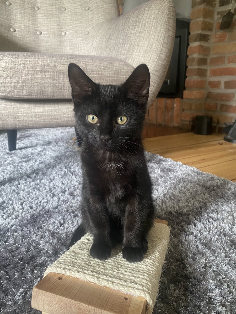 Ida Press tweet media