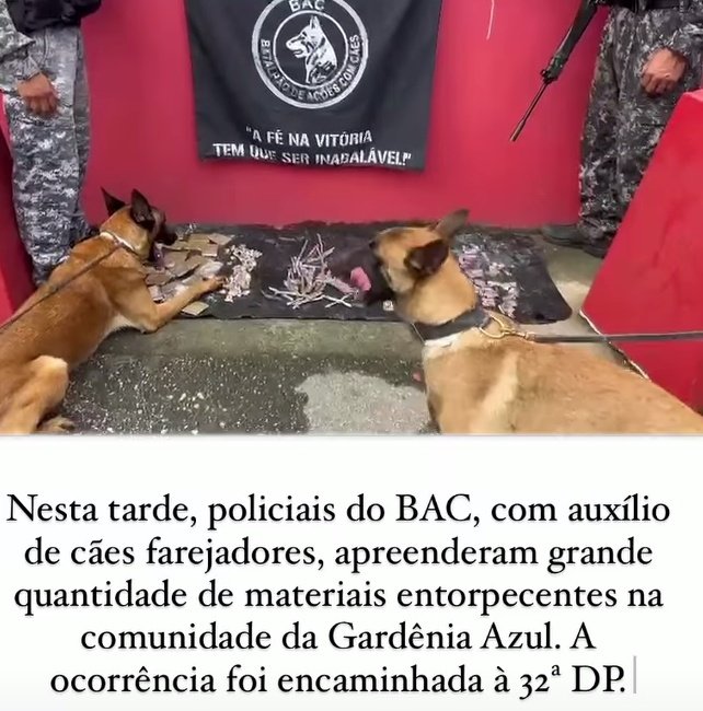 Opesadelo01's tweet photo. Lesk seu tiro saiu pela culatra quando pulou pro tráfico gardênia azul não aceita trafico, a casa vai cai, parabéns toda equipe do #BAC /#6CIA / #CHOQUE. https://t.co/mt0Co9Nr71