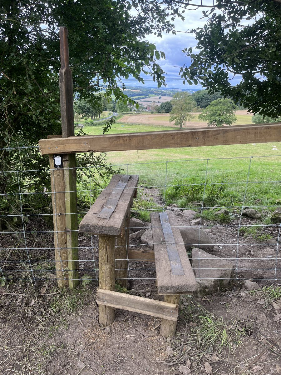 Ellie Atkinson tweet media