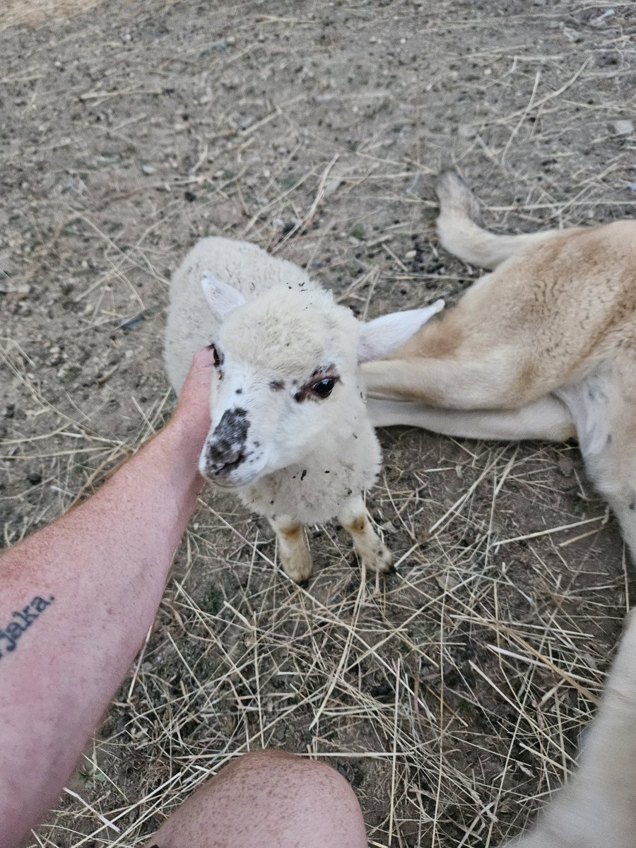 Name cannot be blank tweet media