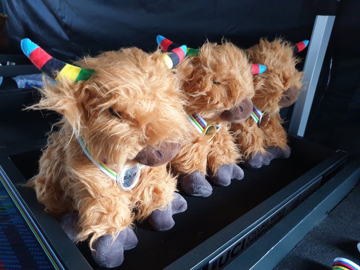 Rod Findlay tweet media