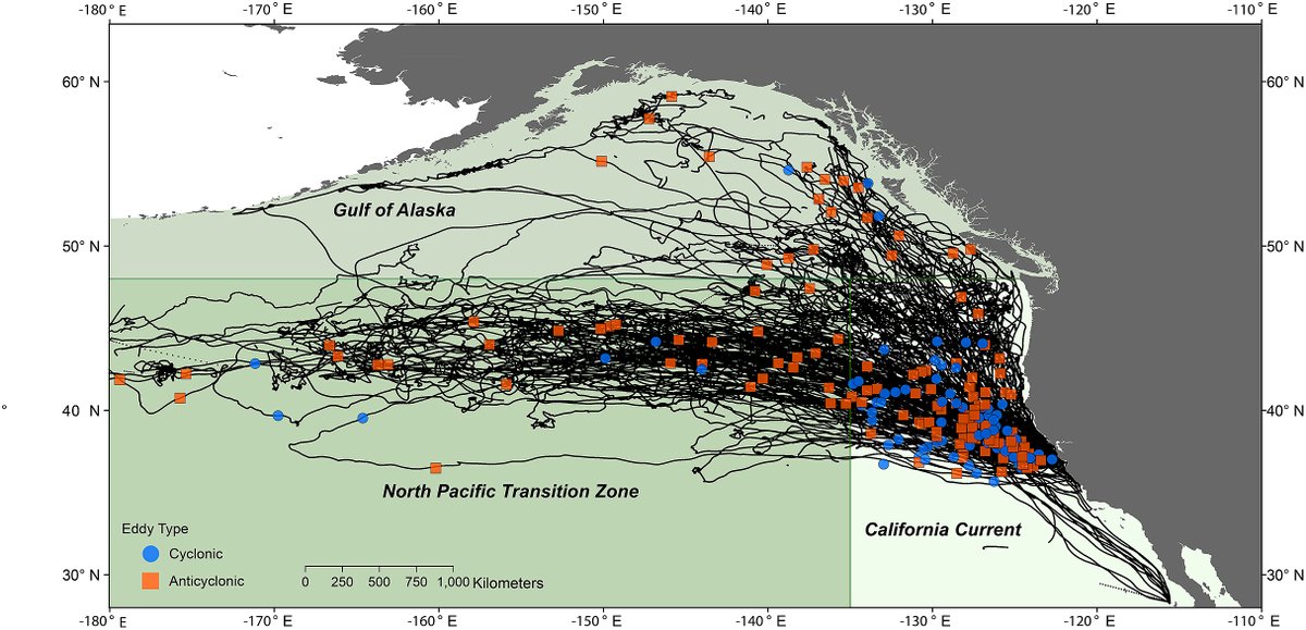 Using biologging techniques and high-resolution oceanographic data, scientists investigated whether elephant seals utilized eddies and how they influence foraging conditions. Tracking data and measurements from 221 seals revealed fascinating insights. bit.ly/45Fgfsc