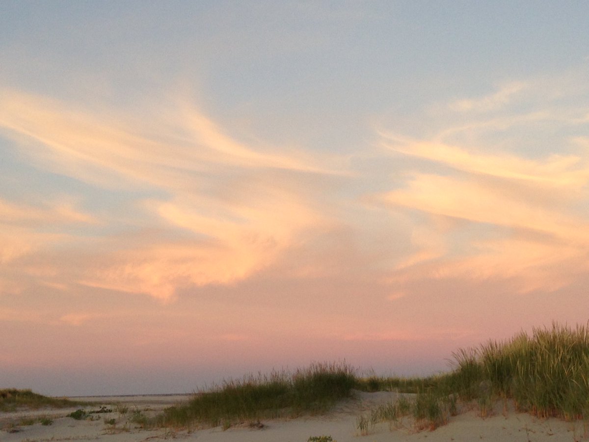 seesamwrite's tweet image. If 1930s cocktails, salvaged sailboats, and windswept beaches are your thing, you can follow along with my writing adventures on Instagram- samanthafacciolowrites.