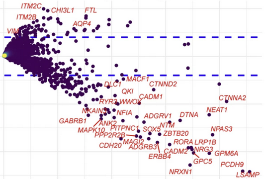 Reactive astrocytosis in #Alzheimers disease dominated by downregulation of homeostatic transcriptome.

Beautiful single nucleus RNAseq pseudotime analysis by David Dai in our lab.

doi.org/10.1186/s40478…