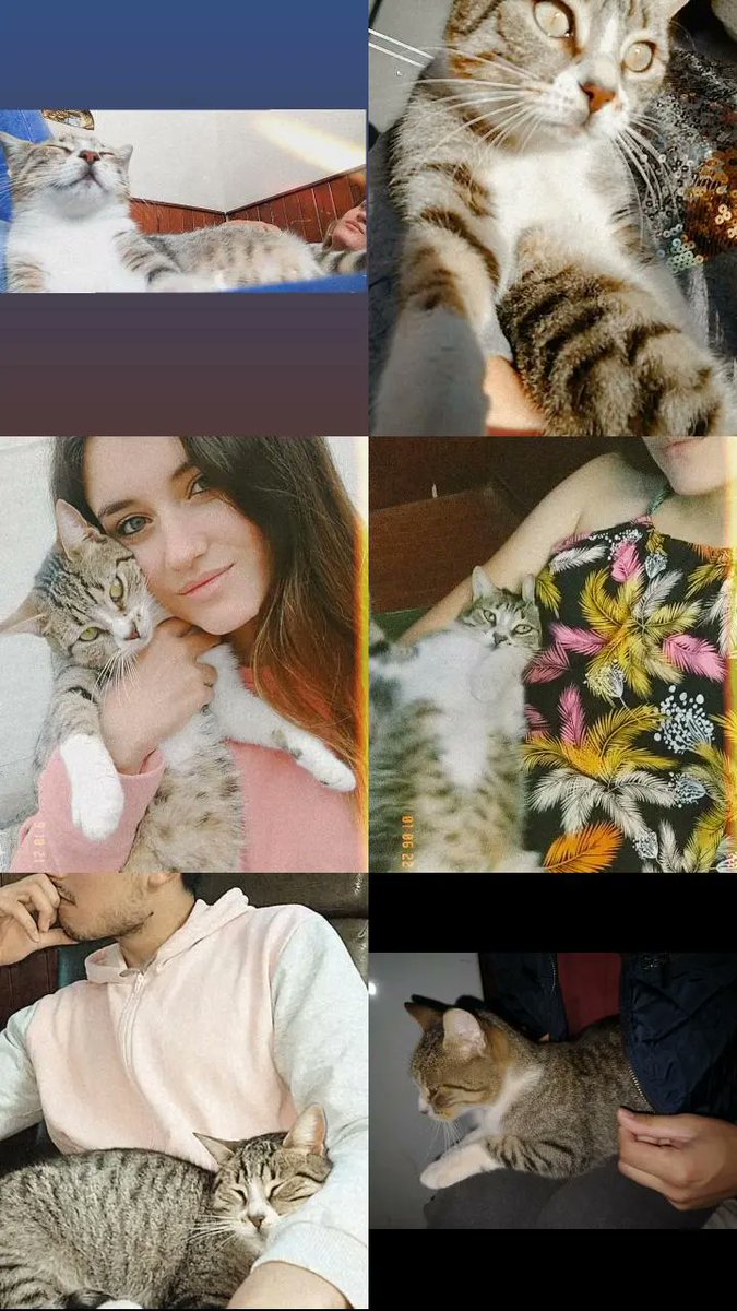 Sueño con vos, que volvés; es tanta la felicidad que siento y tanta la tristeza al despertarme y darme cuenta de que solo fue un sueño. Te extrañamos tanto Frida, solo deseo desde el fondo de mí corazón que estés bien, te vamos a esperar siempre.
Te amo demasiado ❤️