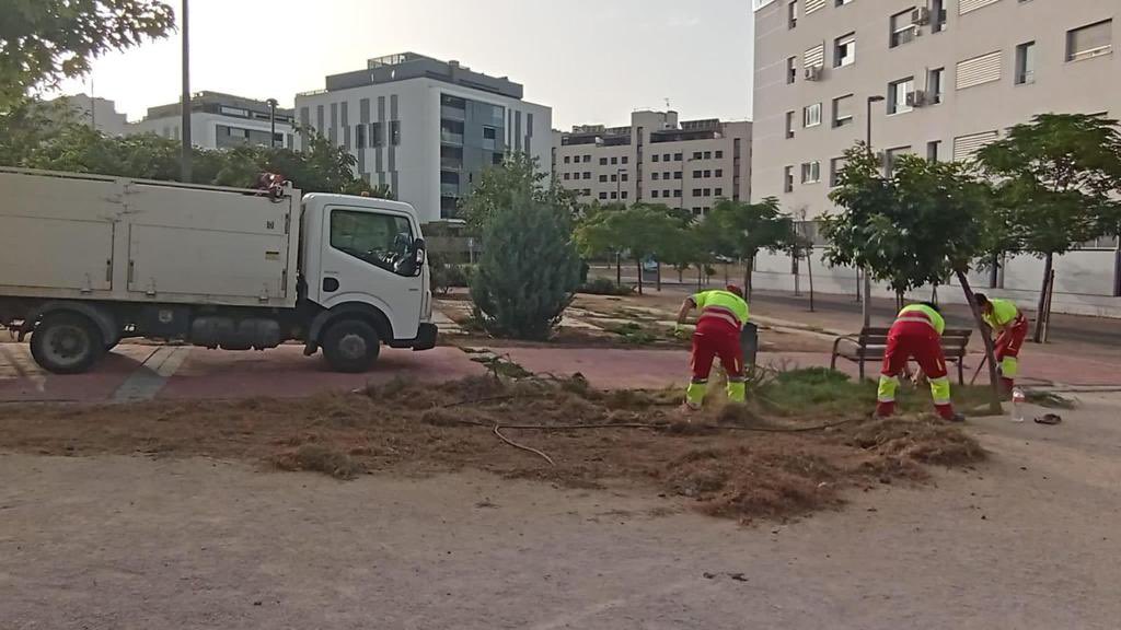 _manubautis's tweet photo. 🪴 Estos son algunos de los trabajos que se están llevando a cabo en la zona del PAU-4 y Trece Rosas:
 
🌱 Los operarios han eliminando brotes de Casque Rouge en la Plaza el Sol. También se ha realizado recorte de arbustos y desbroce.

💧 Se han reparado tramos de goteos de varias averías en la Plaza del Sol.
 
🌳 En el Paseo de Arroyomolinos se están realizando labores de desbroce.
 
🏡 En Vía Láctea se están llevando a cabo labores de desbroce y eliminación de malas hierbas en parterres.
 
🛝 En el barrio de Estoril se han llevado a cabo actuaciones en el Parque de Levante, Parque Salvador Allende, en la zona paralela a la Calle Niza y en la Calle Camino de Leganés con Avda. de Alcorcón.
 
¿Nuestra prioridad? Que los mostoleños disfruten de la ciudad que merecen.