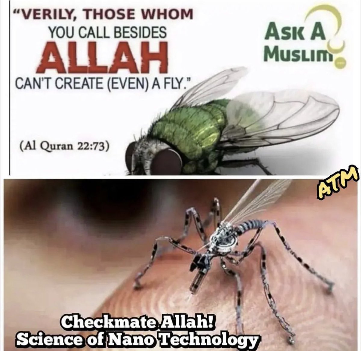 exmuslim_norway's tweet photo. How easy for the Quran to simply say:

"All living beings you see, evolved slowly over millions of years, genetically adapting to their surroundings. All blessed by Allah."

Instead of hundreds of Ayats (verses) telling us look at this and look at that, Allah created these just for you!

We are exceeding nature (by that Allah) by extending our lives nearly 50 years on average compared to Muhammad's days. We are flying - when Quran claimed no bird can fly without Allah's permission. We are selecting gender when Quran said no one can do that except Allah. We are making technology that allows us to hear, where we lost hearing, to see when we lost sight, to talk where we lost cords to talk...and there still those blindly insisting only Allah can do that!

But then, Muhammad did not have that knowledge and by default, Allah did not know either!! The hypocrisy of all those Dawah men you see online is that they would gloss over these facts, look for anything to defend their blind faith. A blind faith built on scraps of made up interpretations of obscured verses in the Quran to claim it scientific and therefore from a superiors being...a being that thinks the earth is flat, the sun rotates around the earth, sun and moon follow each other, has inferior knowledge of human creation and many more scientific errors you can read about them here:

https://t.co/przBRh7euq

https://t.co/8Z0RKYnlvy