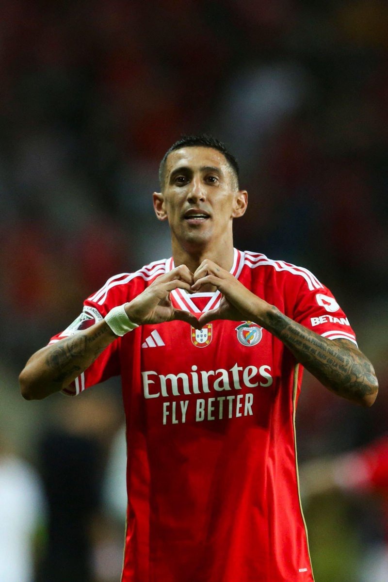 Rui Costa do Azeite (@rcostadoazeite) on Twitter photo 