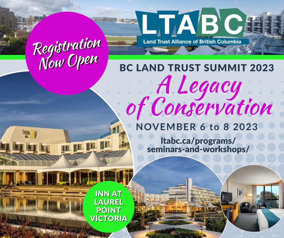 Join LTABC for our first in-person conference since 2019! ltabc.ca/programs/semin…