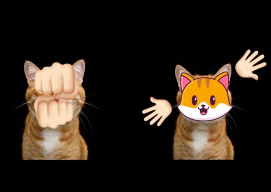 catecoin's tweet photo. Peek-a-Boo https://t.co/VG6wvL0qYT