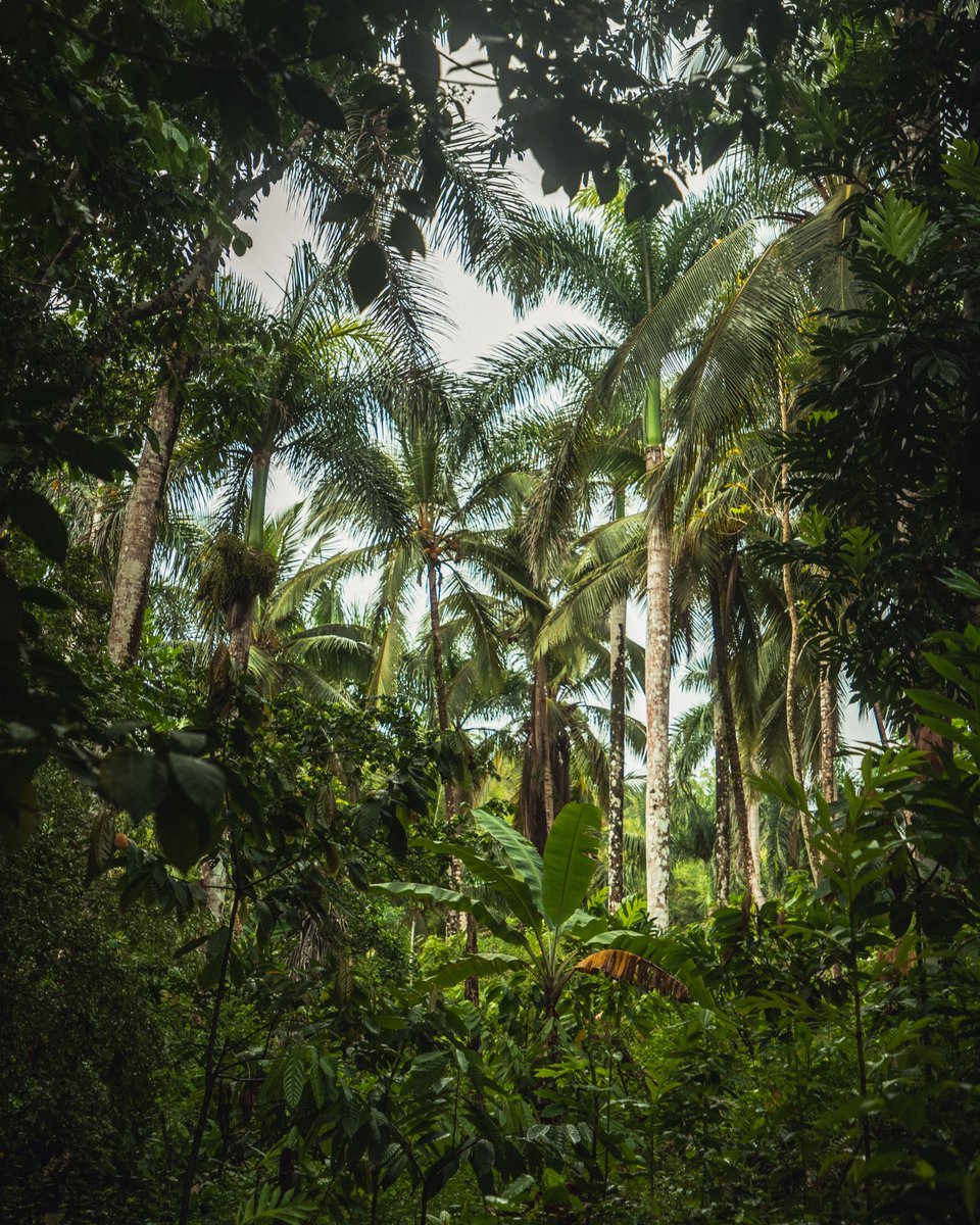 kid-winter tweet media