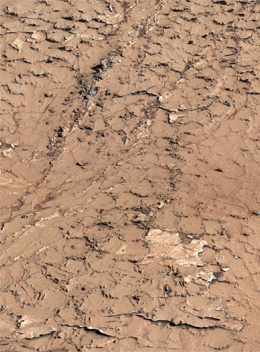 New discovery alert: I've spotted evidence that Mars had wet-dry cycles that could have led to conditions for microscopic life to form!

More on the hexagonal shapes in these preserved mud cracks and what they tell my team: go.nasa.gov/3QwbITS