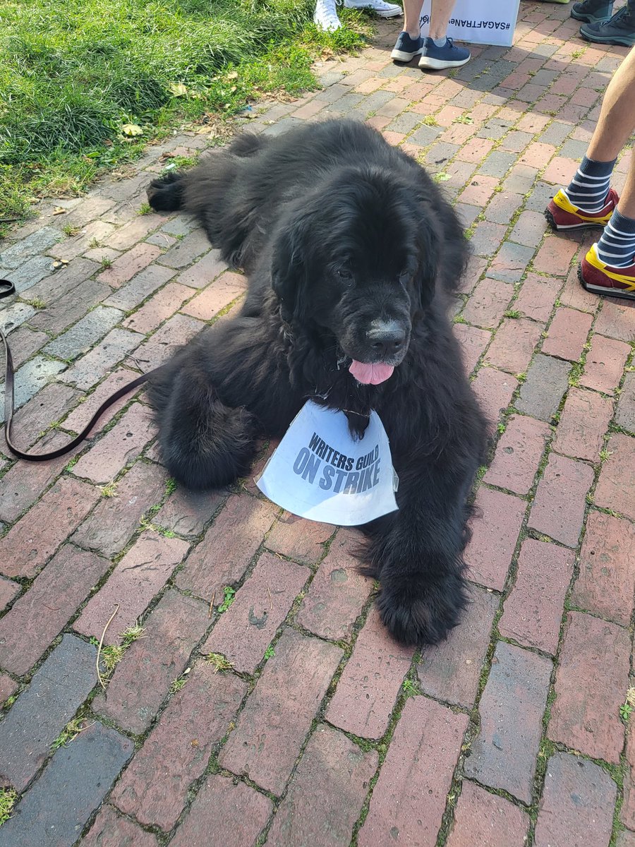 Chuck Hogan tweet media