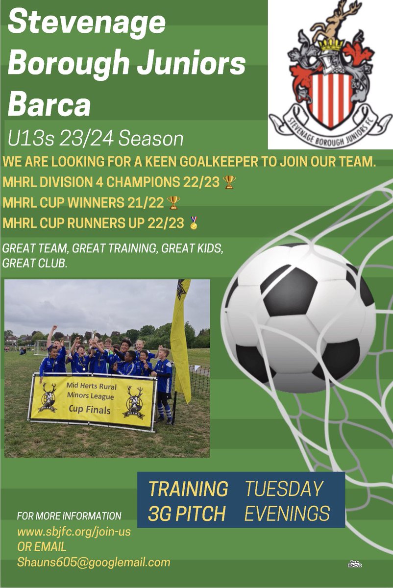 Goalkeeper Wanted to join our Team, Message or email me if anyone is interested in joining this great bunch of boys ⚽️