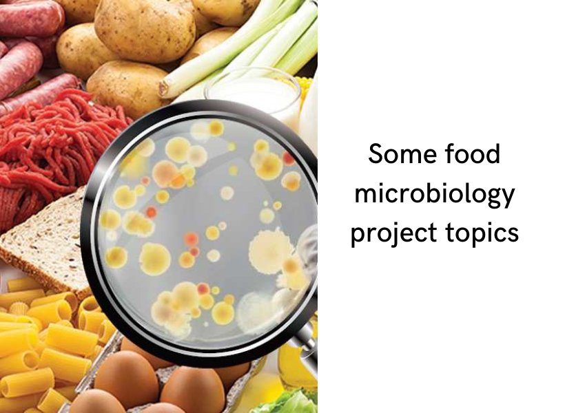 #Foodmicrobiology is the study of the microorganisms that inhabit, produce or contaminate food. Its purpose is based on detecting and determining the #germcontent, minimizing the risks of #contamination and #preventing outbreaks of #foodbornediseases.