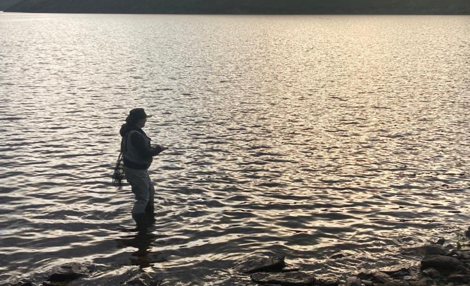GayleMarsh14's tweet photo. Just this.....a couple of hours after work to wet the net. It was good to get back to what I enjoy most. Feisty wild brown trout it doesn't get any better. 
#flyfishing
#sharingflieswithastranger https://t.co/8sujgjB29G