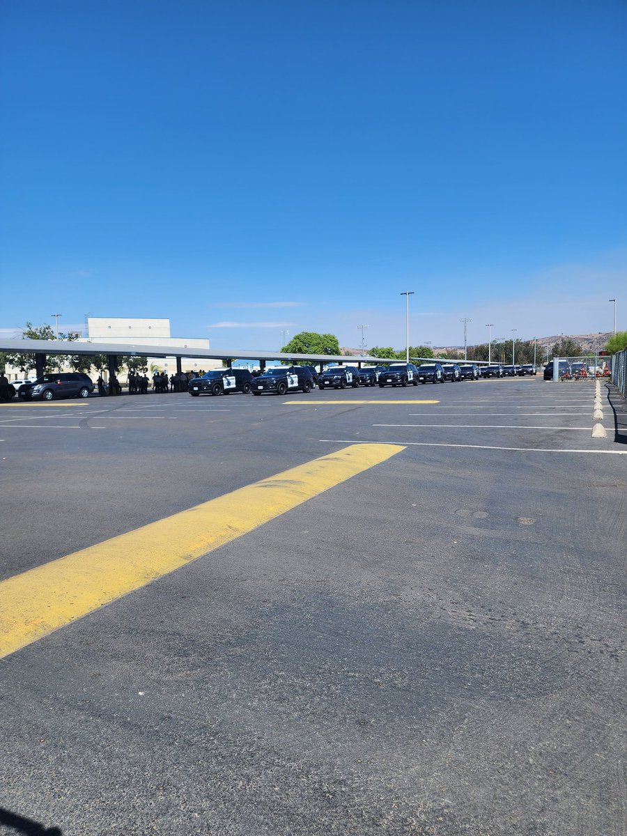 AllNightCheck's tweet image. Ready to roll #Bunnyfire Ramona