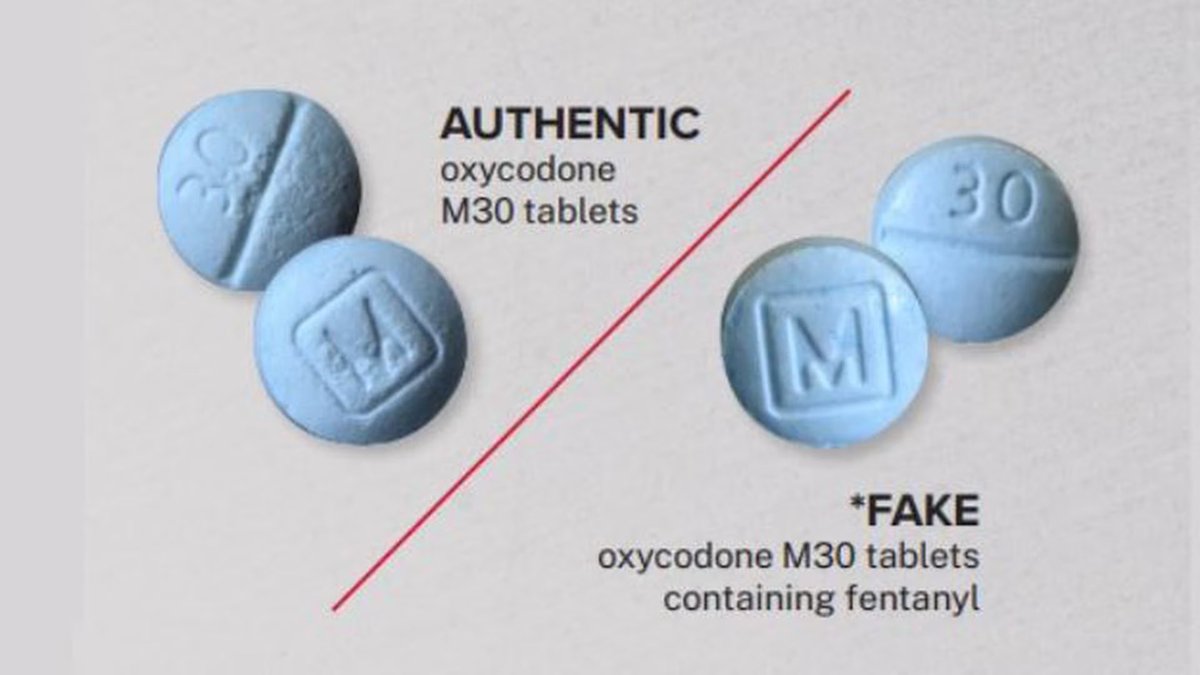 @housingworks @GovKathyHochul @nycpa @VOCALwashington @sacklerpain @TruthPharm We could make overdose centers largely irrelevant by stopping them at the source.

Overdoses are largely caused when the pill on the left contains 30mg, the ones on the right vary between 1 and 500 mg. It’s not hard to understand. Users need legal, pharmaceutical alternatives.