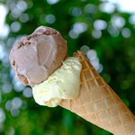 Photo by The Farmer's Cow Calfe & Creamery (@CowCalfe)