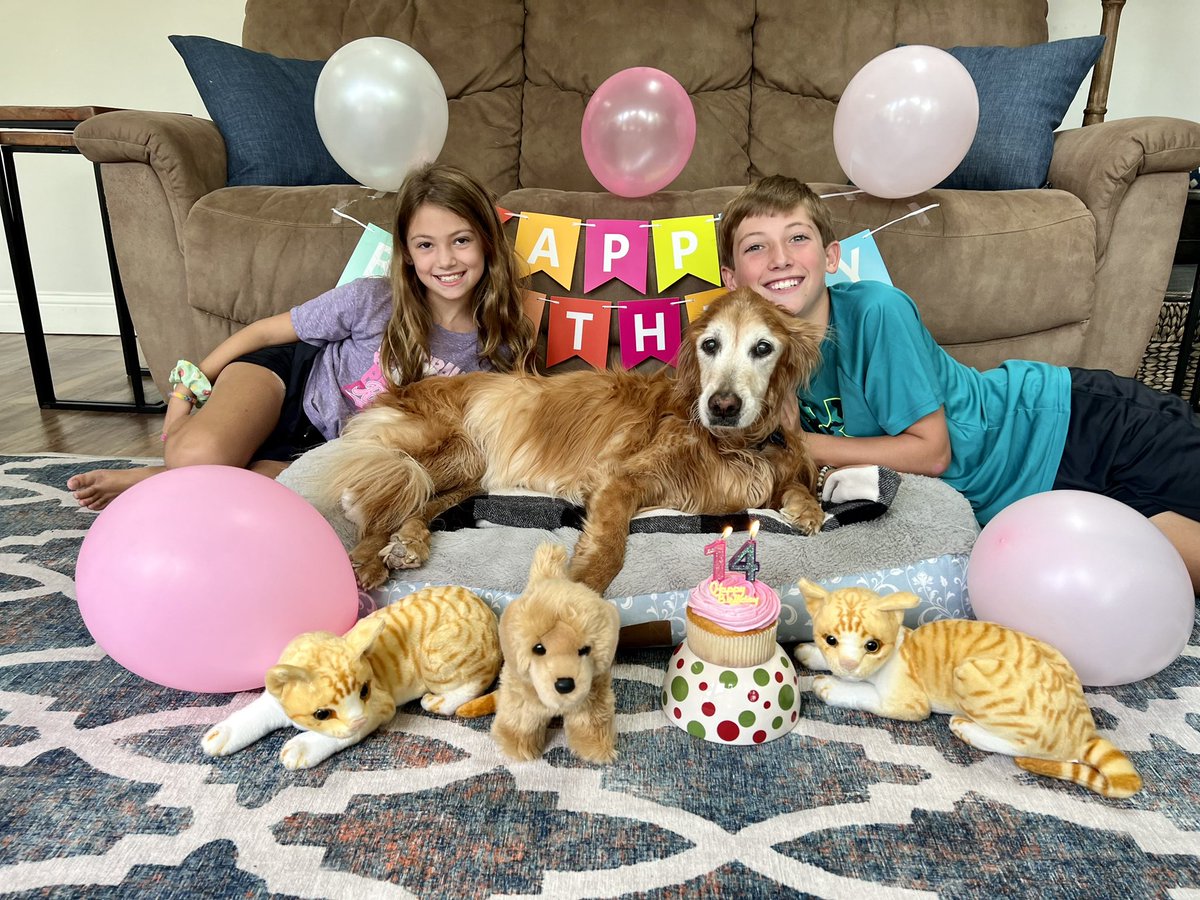 BalancingBeans's tweet photo. Happy early 14th Birthday to Beans https://t.co/GKIw616jlo