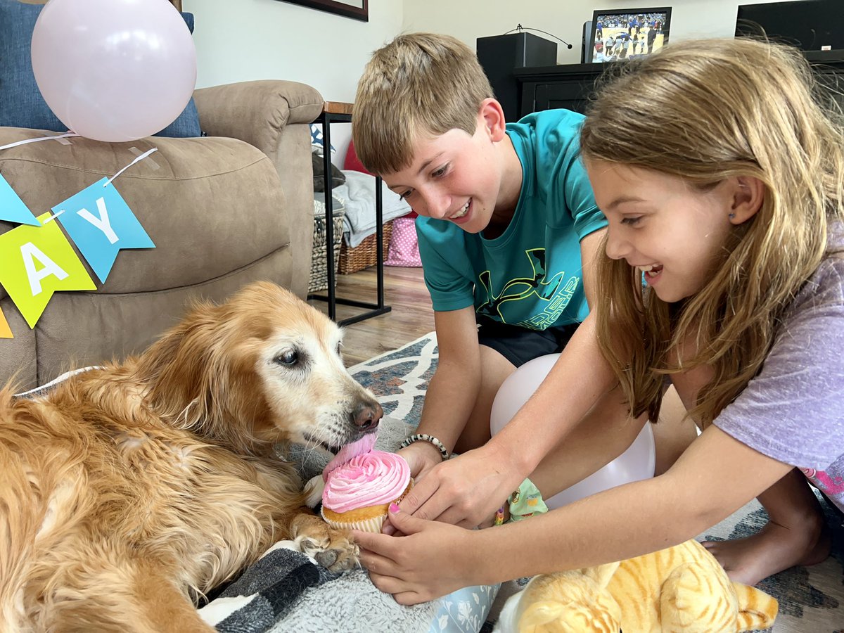 BalancingBeans's tweet photo. Happy early 14th Birthday to Beans https://t.co/GKIw616jlo