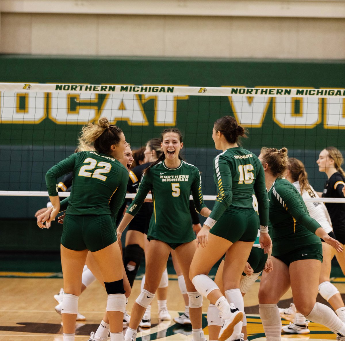 NMU Volleyball tweet media