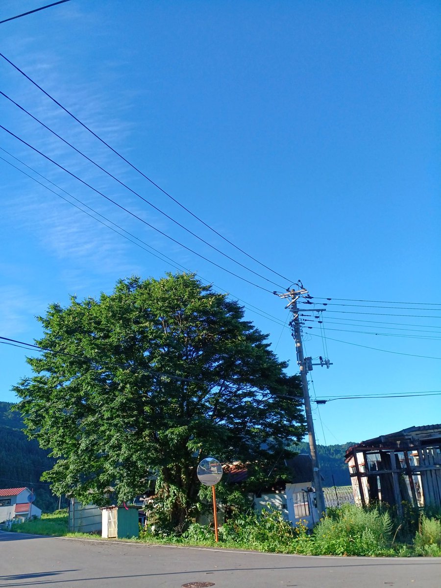 EiloEc's tweet photo. 今日も絶対暑い https://t.co/LTYR0h0YKV