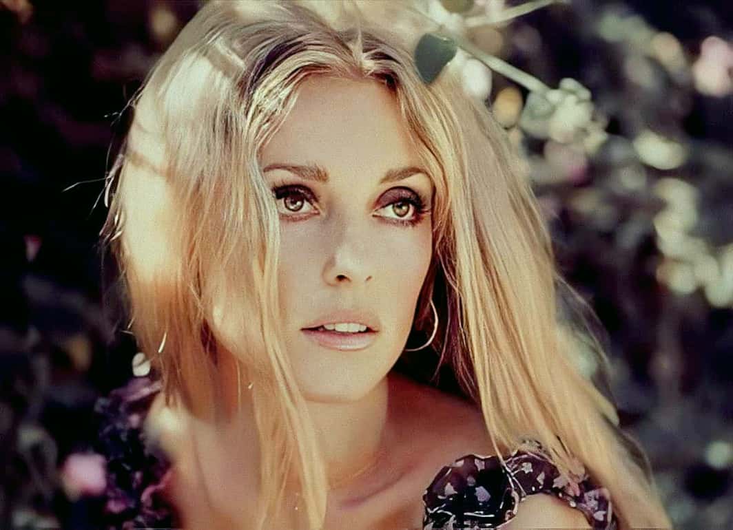 deathbyhibachi's tweet photo. American entertainer #SharonTate was murdered by members of the Manson family #onthisday in 1969. #actress #model #pregnant #ValleyoftheDolls #EyeoftheDevil #SharonMarieTatePolanski #TheFearlessVampireKillers #Tate #SharonTatePolanski #HelterSkelter #trivia https://t.co/9SANys53rT