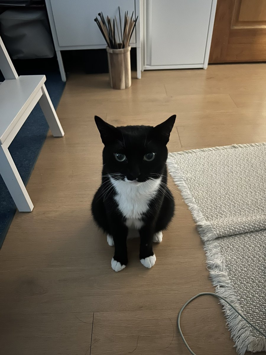 #MedeHurGmbH hat einen Rückkehrer gesichtet: 
<a href="/MSLive_aut/">MSLive 📢</a> 
Das ist verboten!
So geht’s: Im Profil auf die 3 Punkte oben rechts ➡️ <a href="/MSLive_aut/">MSLive 📢</a> meden ➡️ Nutzer gibt sich als jemand anders aus ➡️ <a href="/Martin_Sellner/">Hesuta</a> permanently suspended 
&amp; noch als Spam ▶️ gefälschter Account meden