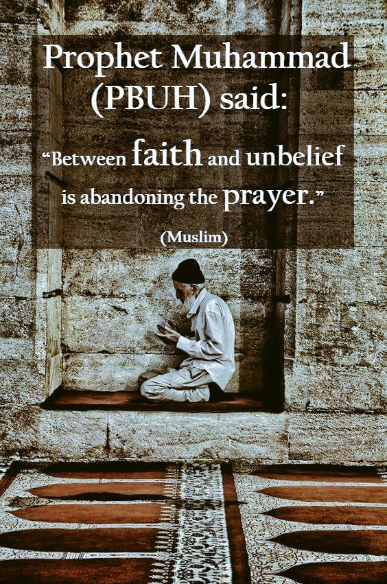 ehsanmajid67's tweet photo. https://t.co/7DyweCzHQj