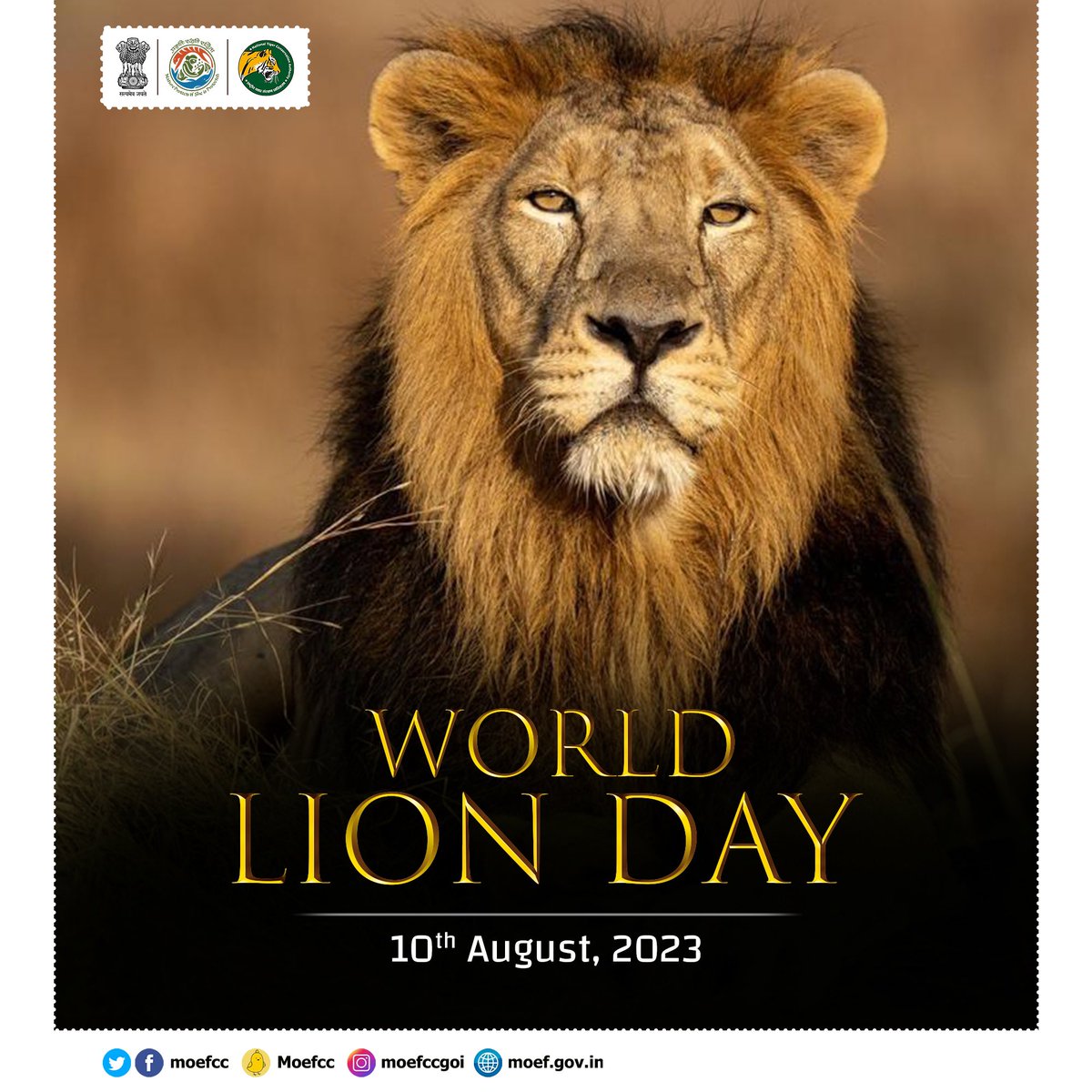 moefcc's tweet photo. On #WorldLionDay, let's unite in our commitment to lion conservation. Together, we can safeguard their future and promote sustainable wildlife management. Let's #RoarForLions and ensure these majestic creatures thrive! https://t.co/VwRYMtB0uU
