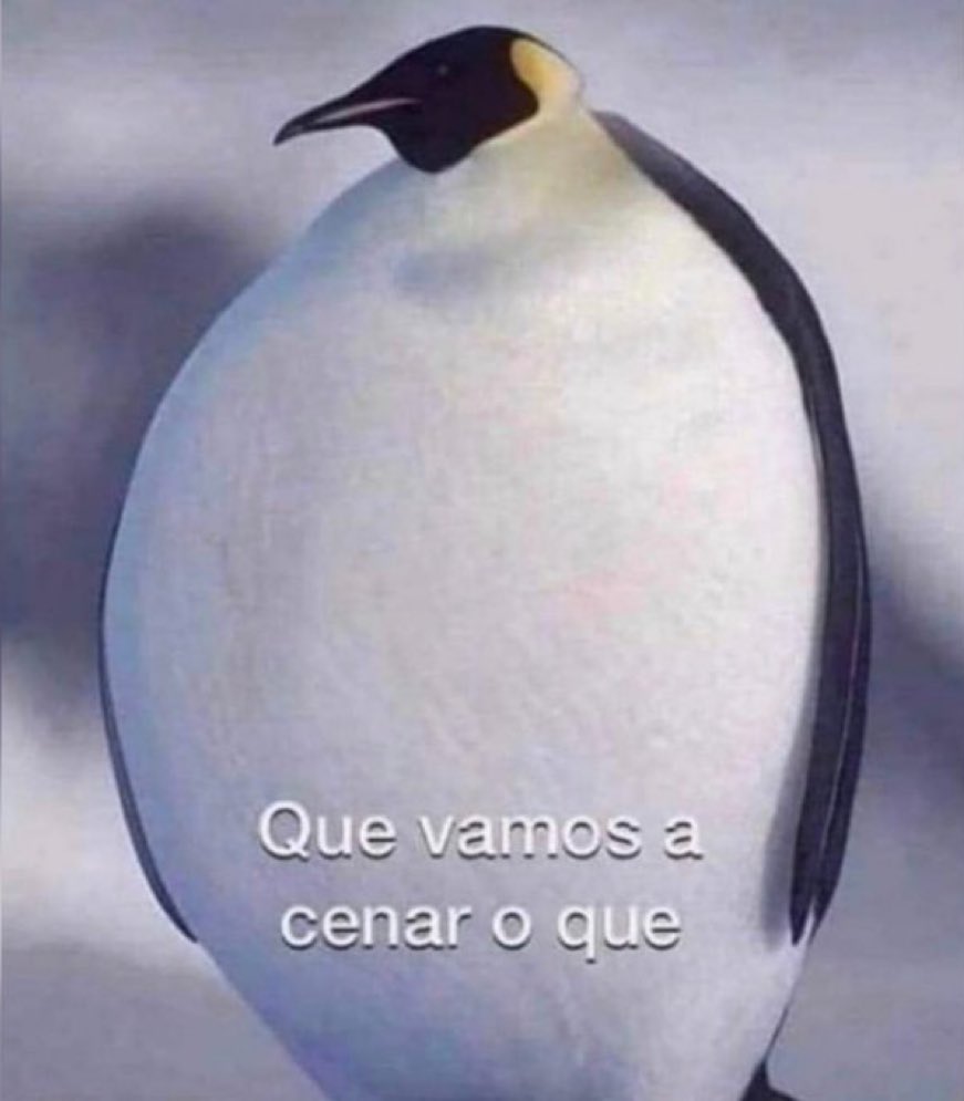 yo despues de comer 6 veces en el dia