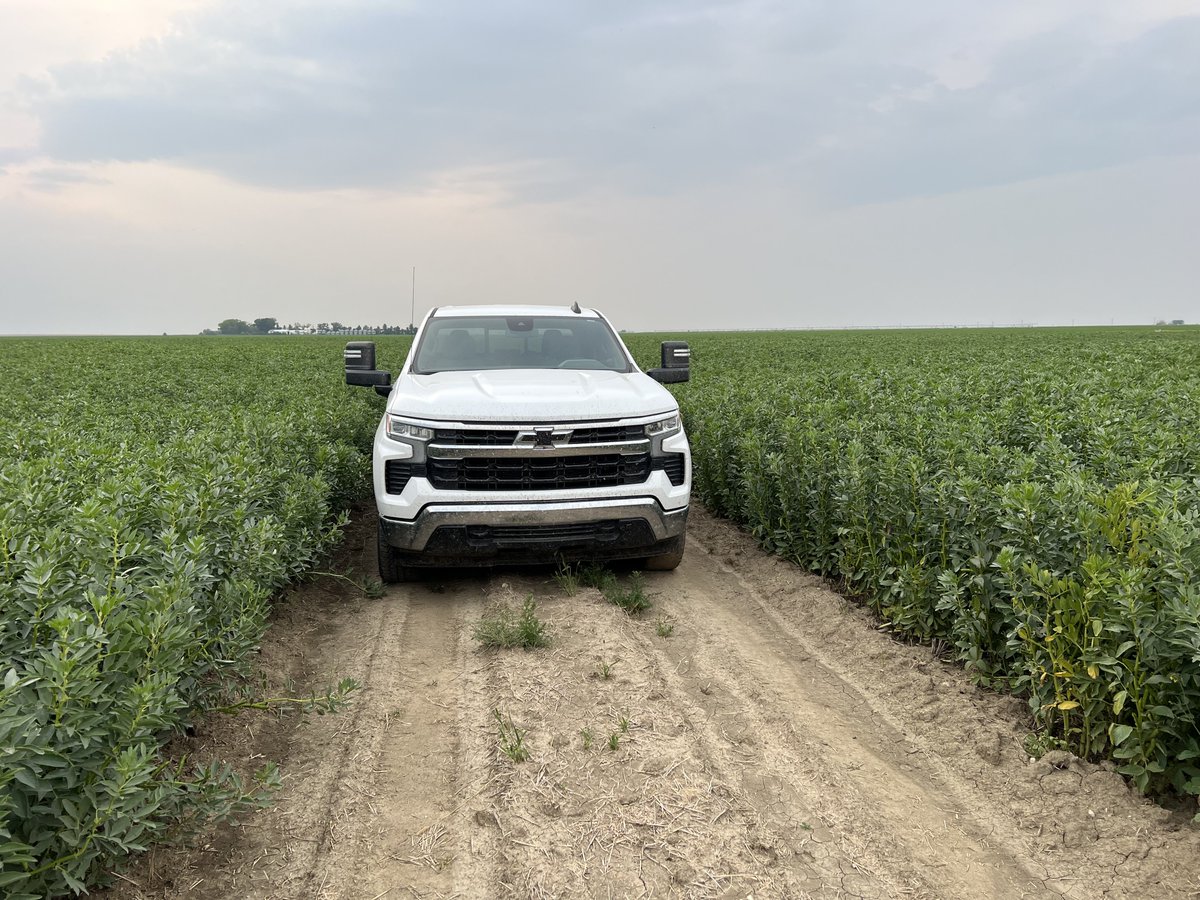 Stamp Seeds 🌱 tweet media