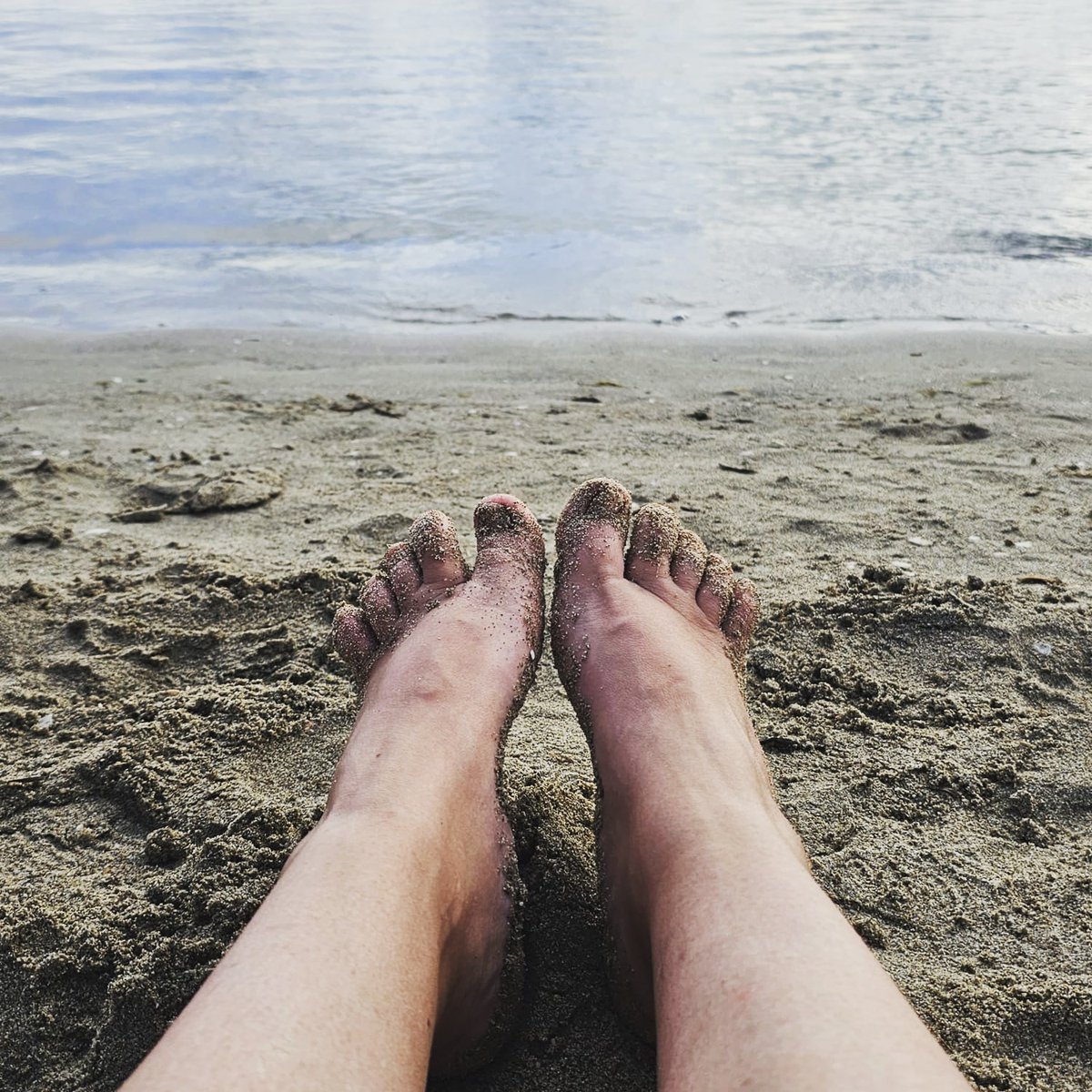 preciousfee69's tweet photo. Alguien me hace compañía? #feet #feetfinder #feetfethish #feetpic #feet_lover #feet_pic #feetpicsforsales #feetworshi̇p #PiesBonitos #pies #onlyfansgirl #onlyfans #onlyfansFree #Only18 https://t.co/RT2y4nRiTR