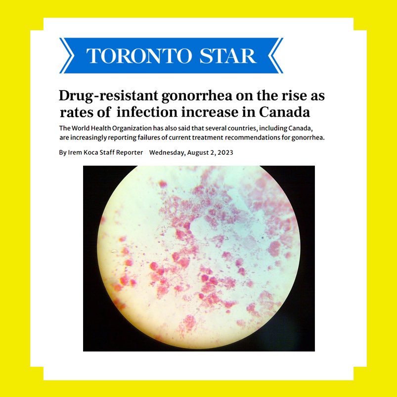 GMSHAlliance's tweet image. Last week @WHO reported that drug-resistant #gonorrhea poses a serious public health threat in multiple countries around the world, including Canada.

thestar.com/news/canada/dr…

#gettested #stitesting #sexualhealth