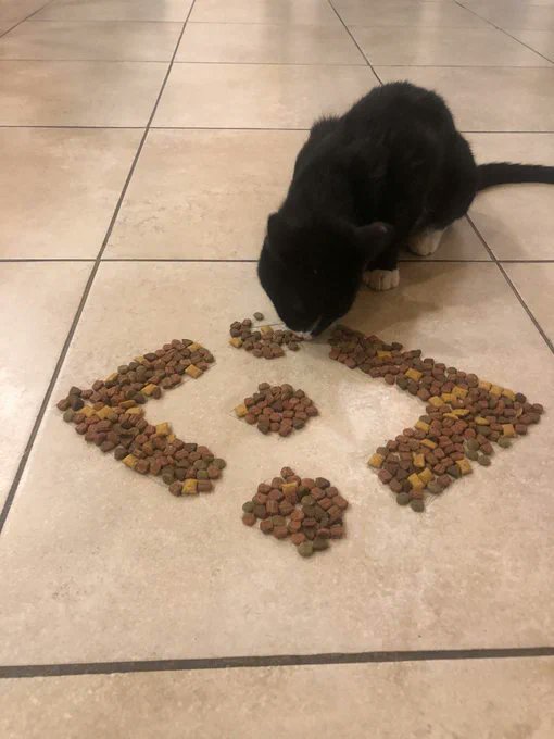 BSCCrypto tweet media