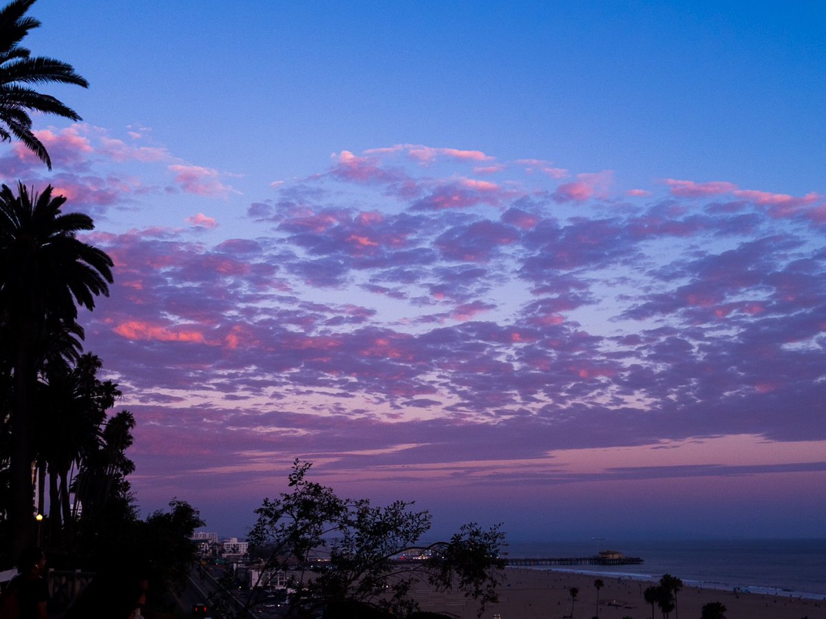 jfcore's tweet image. #santamonica #sunset #clouds #colorful #palisadespark #ocean #views #beachlife #palmtrees
