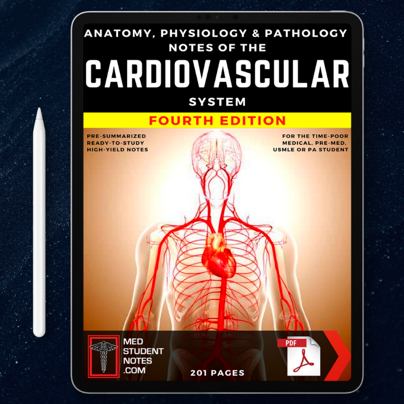 MedStudentNote1's tweet photo. 🩺Our Premium ‘High-Yield’ Study Notes Streamline Your Studies, Save You Time, AND Improve Your Exam Results!🎓

👍A MUST-HAVE for all #Medical, #MBBS, #MD, &amp; #MBChB students, as well as #PA, #Nursing, #PreMed, #USMLE &amp; Allied Health Students! 💊

🚨Up to 80% OFF! Link In Bio!