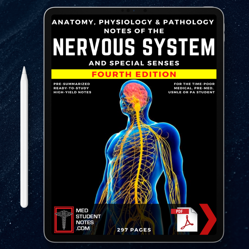 MedStudentNote1's tweet photo. 🩺Our Premium ‘High-Yield’ Study Notes Streamline Your Studies, Save You Time, AND Improve Your Exam Results!🎓

👍A MUST-HAVE for all #Medical, #MBBS, #MD, &amp; #MBChB students, as well as #PA, #Nursing, #PreMed, #USMLE &amp; Allied Health Students! 💊

🚨Up to 80% OFF! Link In Bio!