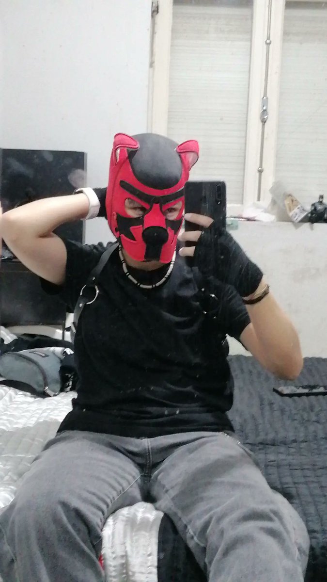 🐶