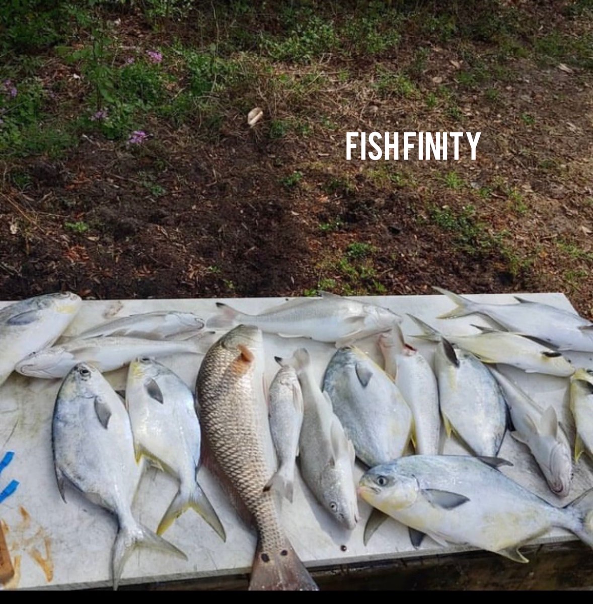 It’s called Fishing, Not Catching! 🤣 #Florida #Saltwater #Fishing #Lifestyle