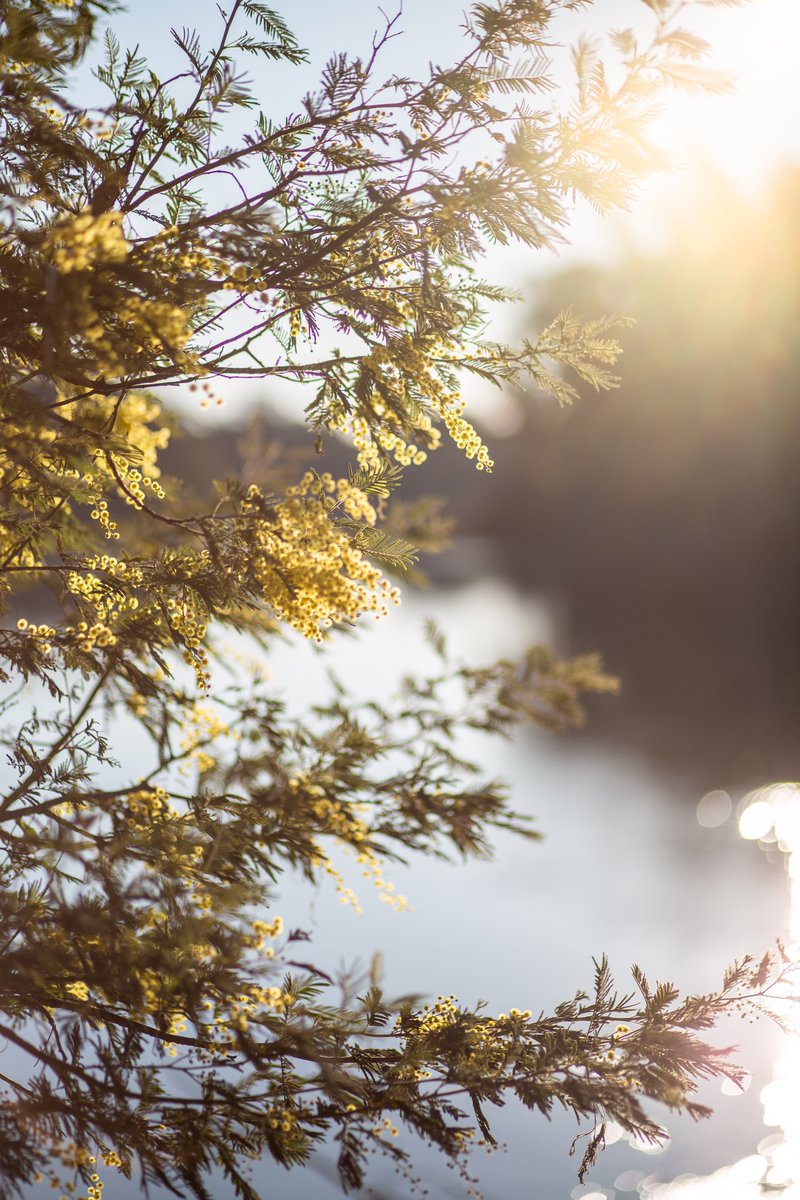 Kathy Mexted tweet media