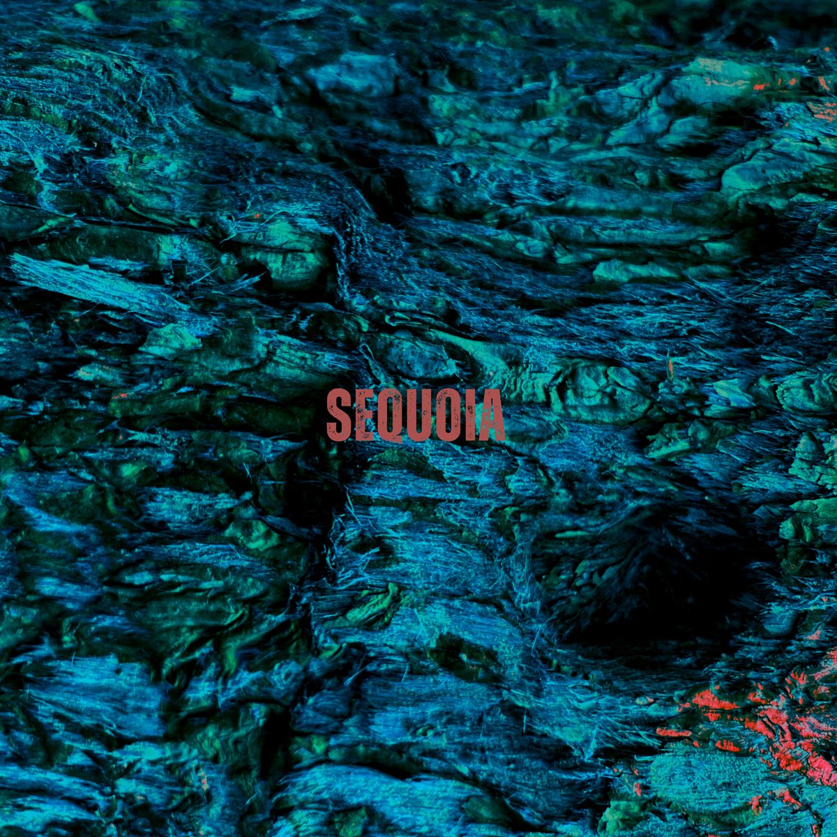 MonitorCol's tweet photo. "Sequoia" ya está disponible en todas las plataformas. Una composición inspirada en los árboles más grandes y antiguos de la Tierra.

Sequoia - OUT NOW, a song inspired by the largest and oldest trees on Earth https://t.co/5MFMHCENjt
@orchtweets #sequoia https://t.co/rd3YFJVSuP