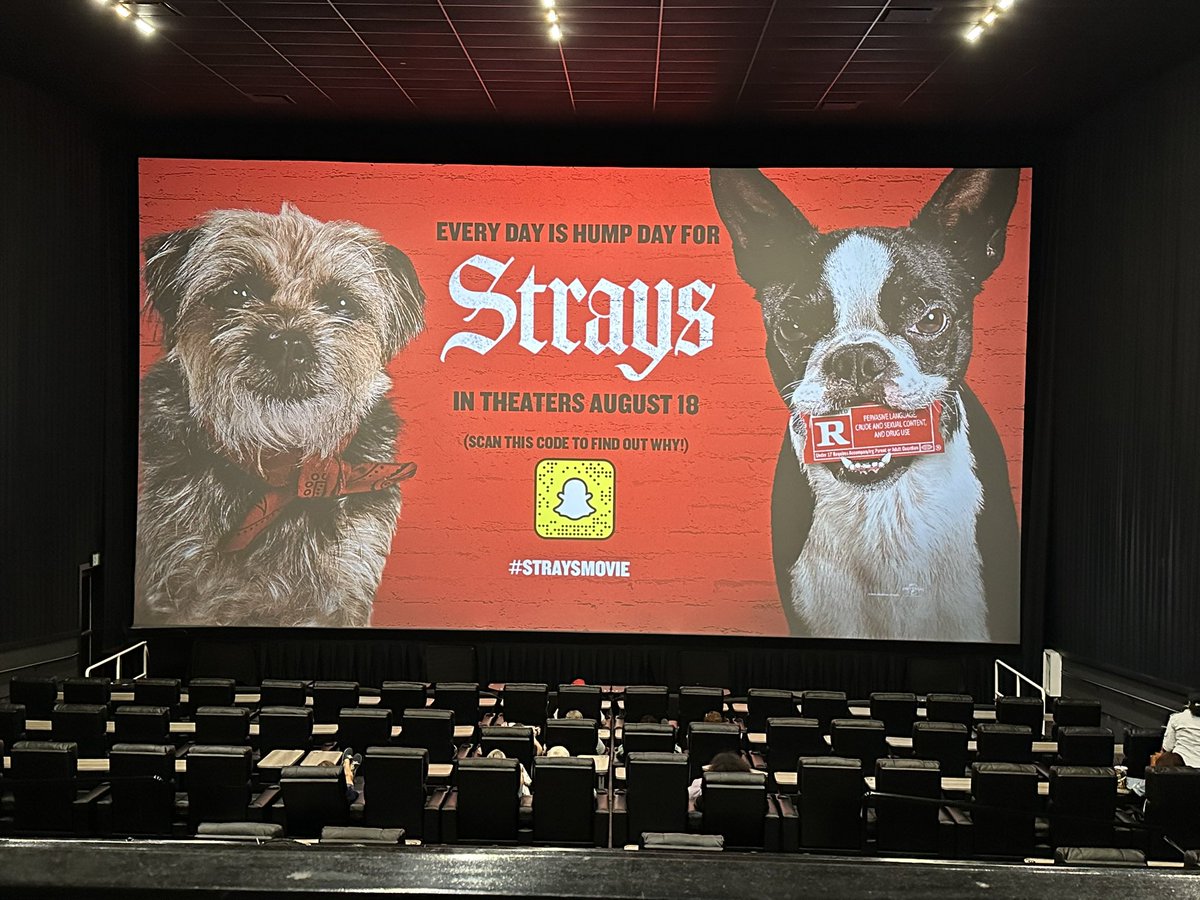 XmCinema's tweet photo. Ready to screen Strays starring Will Ferrell and @KevinHart4real #straysmke https://t.co/q7LrLpexND