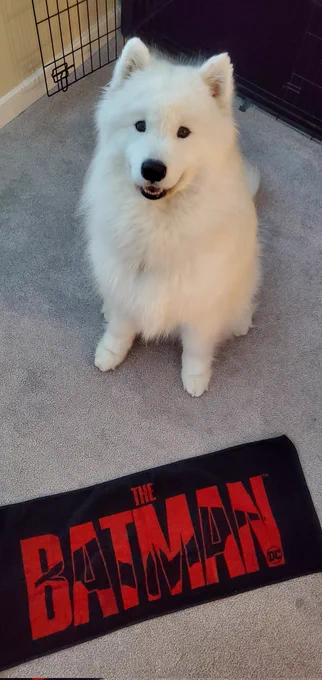 Now a member of fan club for Bruce. 